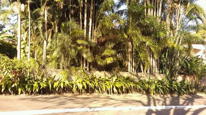 Suites Brotas City Buitenkant foto